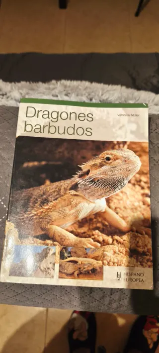 Hamaca y libros para reptiles