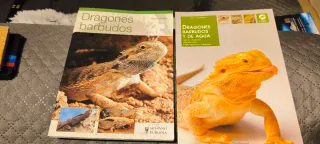 Hamaca y libros para reptiles