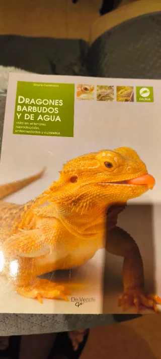 Hamaca y libros para reptiles