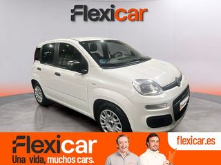 Fiat Panda Panda Hybrid 1.0 Gse 51kw (70CV)
