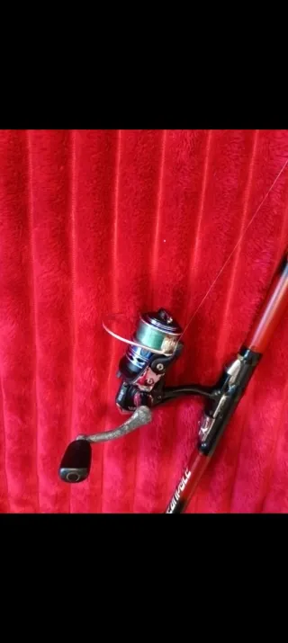 Caña de pesca con carrete y accesorios