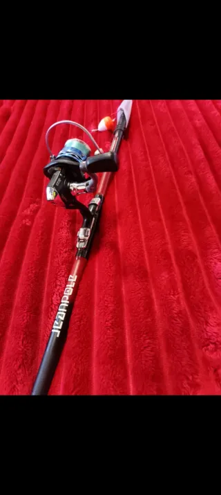 Caña de pesca con carrete y accesorios