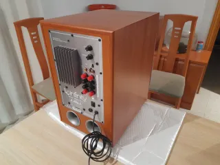 Infinity subwoofer autoamplificable gran potencia