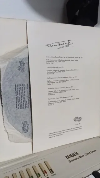 Johann Strauss Jr. I Vinile 10 33 RPM