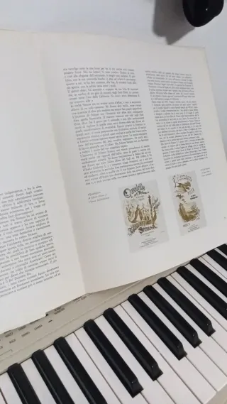 Johann Strauss Jr. II Vinile 10 33 RPM