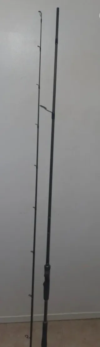 Caña Rapala Distant Shore 2,74m