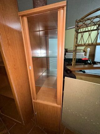 Vitrina de madera y cristal