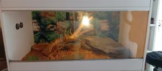 Terrario Grande Madera