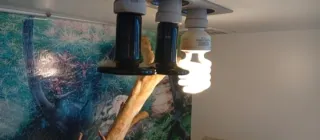 Terrario Grande Madera