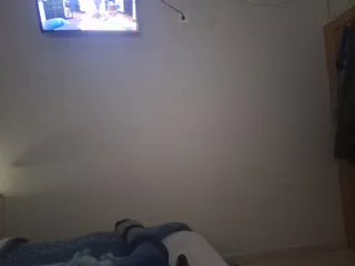 Se busca piso o casa de alquiler en aragon,navarra