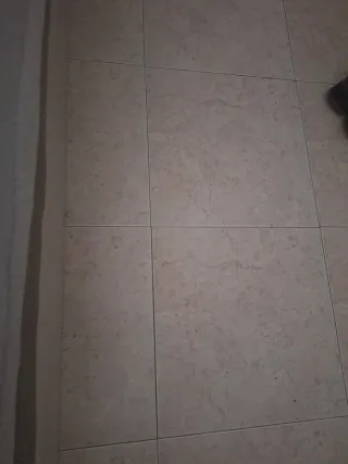 Se busca piso o casa de alquiler en aragon,navarra