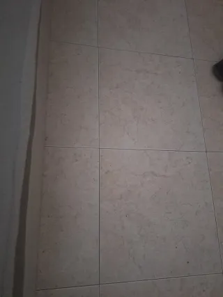 Se busca piso o casa de alquiler en aragon,navarra