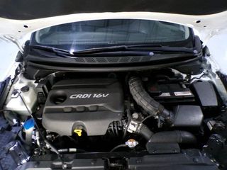 KIA pro_cee'd 1.6 CRDi 115cv Drive Plus