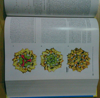 Libro de Bioquímica