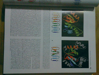 Libro de Bioquímica