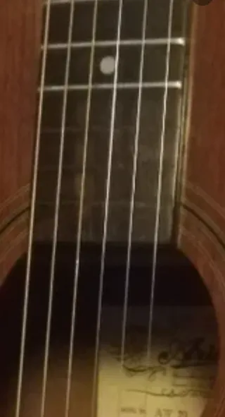 Guitarra Acústica Aria aw70