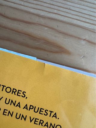 La novela del verano (Beach Read)