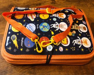 Jogo educativo espaço planetas animais