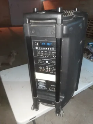 Altavoz Ibiza Sound 15 pulgadas