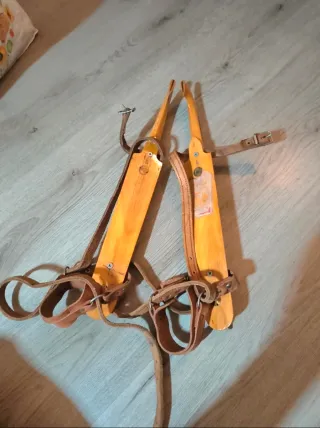 Patines antiguos de hielo de madera