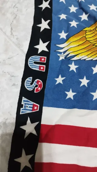 Bandera Americana con Águila y Carruaje