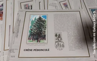 Colección + 100 Hojas Primer Día Francia