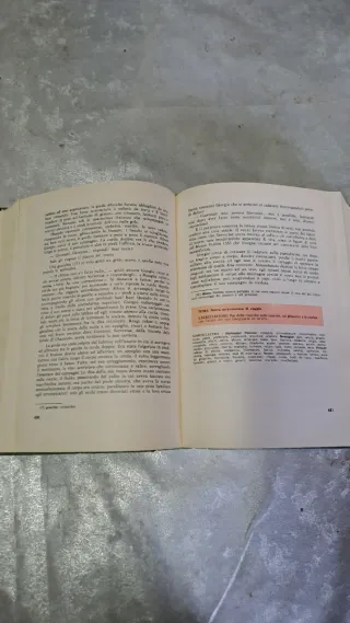 Voci antiche e nuove