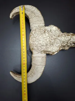 Teschio Decorativo da Parete Beige/Oro