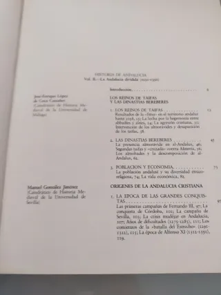 Historia de Andalucía. La Andalucía dividida