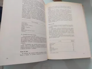 Historia de Andalucía. La Andalucía dividida