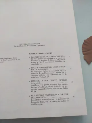 Historia de Andalucía. La Andalucía del Renacimien