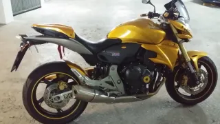Honda CB 600 F Hornet Dorada