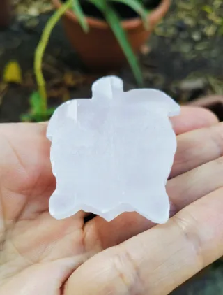 Tartaruga in Selenite
