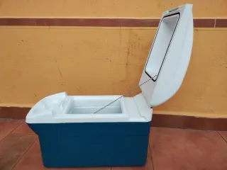 Nevera/calentador de coche