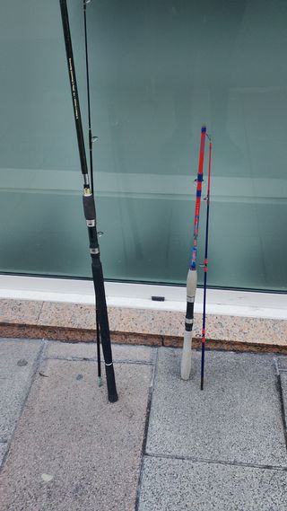 Lote de cañas de pescar