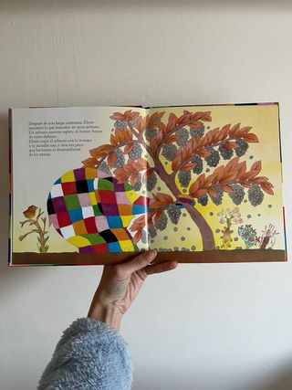 Elmer. Un cuento - Elmer (Spanish Edition)