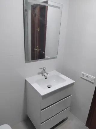 Paléta oficial albañil Reformas y construcción