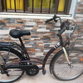 Bicicleta de paseo morada