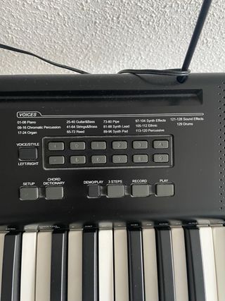 Teclado para principiantes Ringway