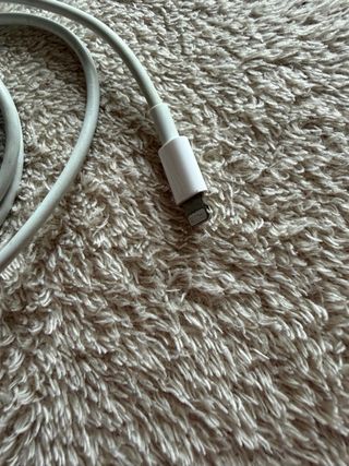 Cavo Caricabatterie Apple USB-C