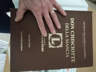 Don Chisciotte di Cervantes