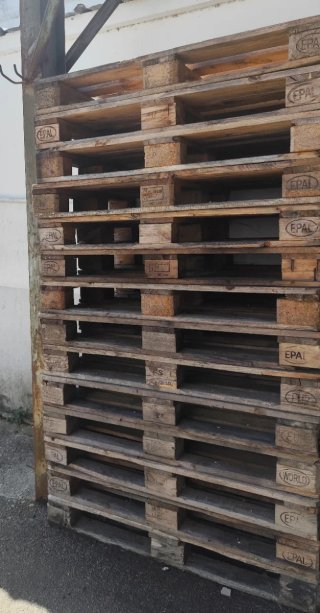 100 PALETS DE MADERA EUROPEOS