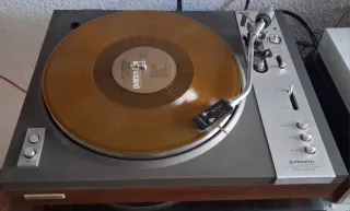 Tocadiscos Pioneer PL117D