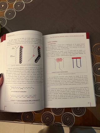 Libro Bioquímica General