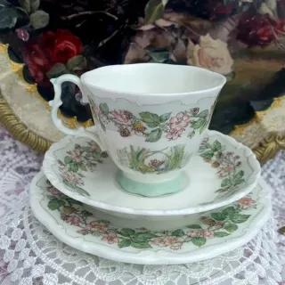 Tazza da tè Royal Doulton Brambly Hedge Summer