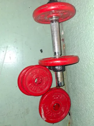 Barra con discos de pesas Salter