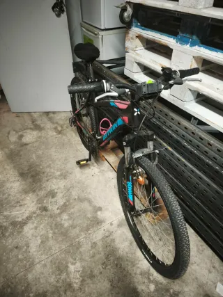 Bicicleta de montaña