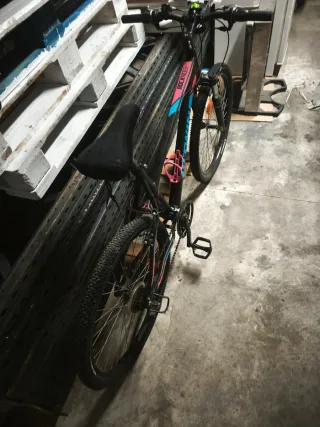 Bicicleta de montaña