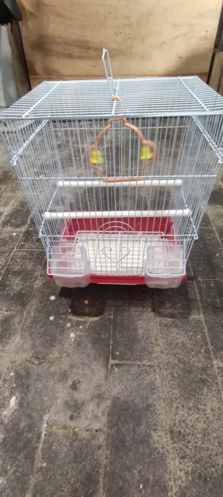 Jaula para pájaros blanca y roja