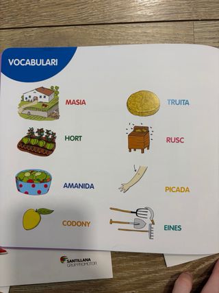 Libros lectura català